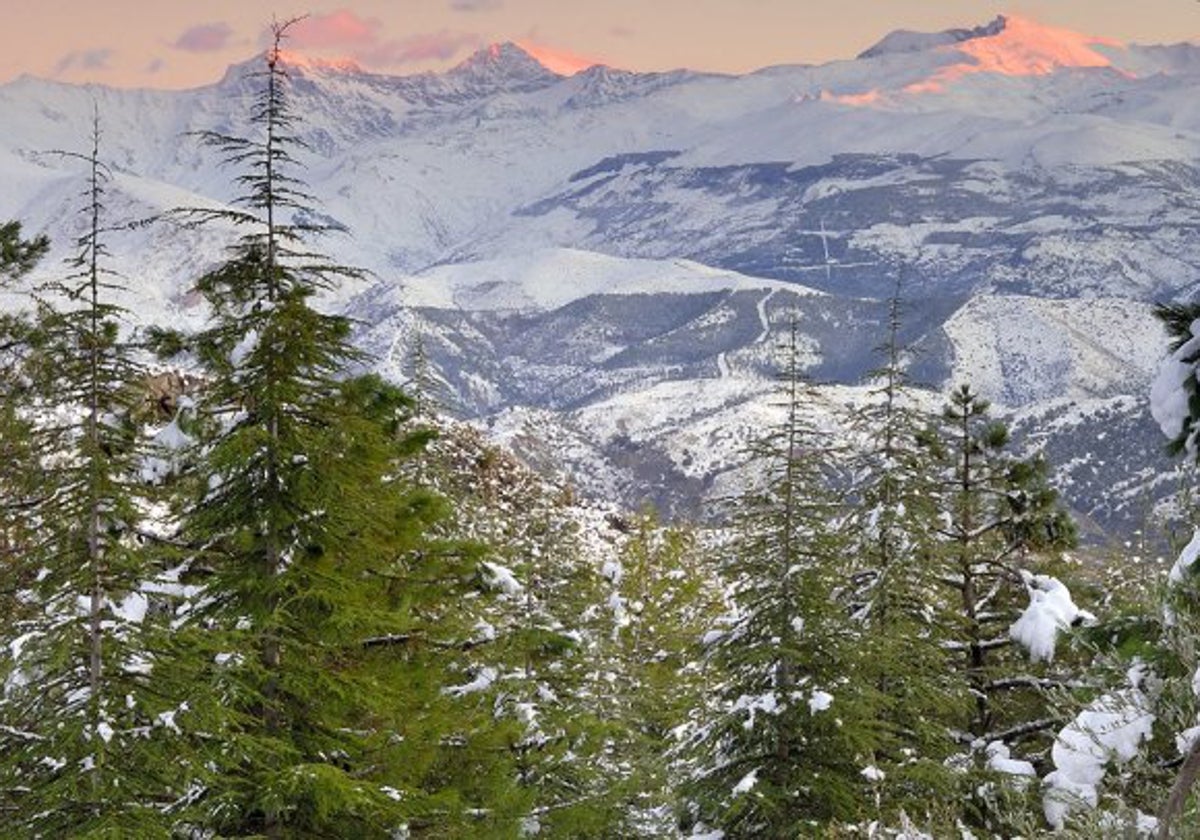 El Parque Natural de la Sierra de Huétor es un mirador privilegiado de las cumbres de Sierra Nevada