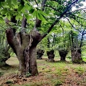 Cinco rutas de otoño inolvidables en una de las comarcas más bonitas de España