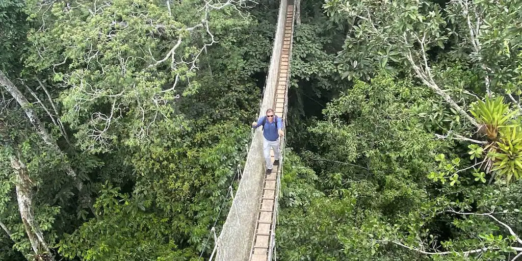A 40 m de altura: así es el puente colgante más espectacular de la Amazonia