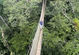 A 40 m de altura: así es el puente colgante más espectacular de la Amazonia