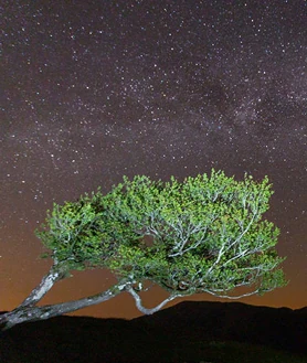 Imagen secundaria 2 - Catedral de Santa María, Valle de Ultzama e imagen nocturna