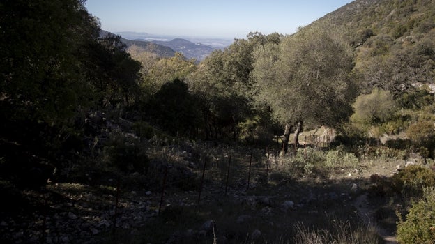 El Puerto de El Boyar está situado en pleno corazón del Parque Natural de la Sierra de Grazalema