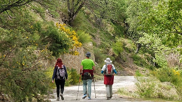 Senderistas en la Dehesa del Camarate en Sierra Nevada en Granada.