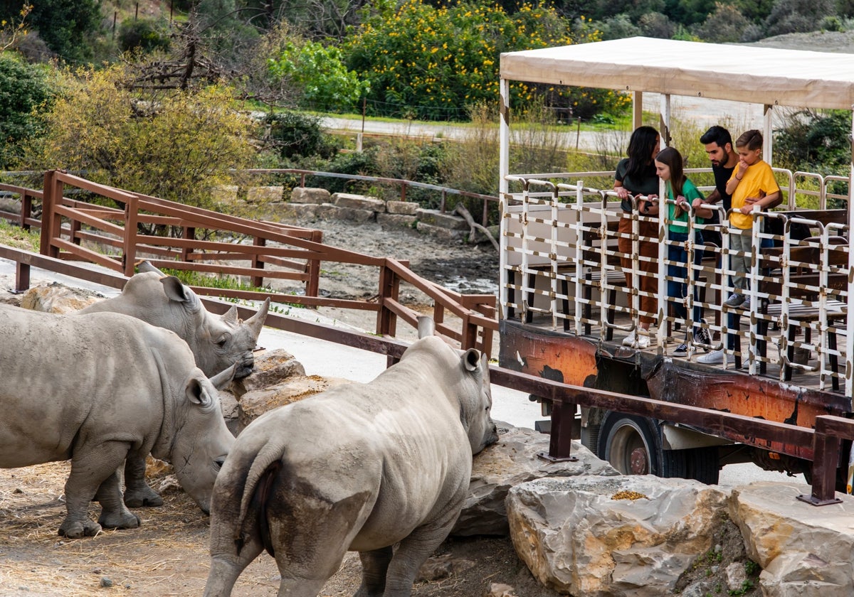 Una familia disfruta del safari en Selwo Aventura de Estepona en Málaga.