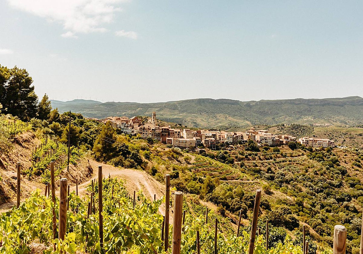 El Priorat, en Cataluña