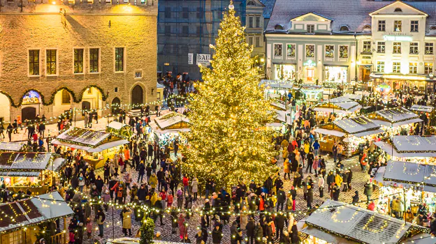 Imagen del árbol de Navidad de la plaza del Ayuntamiento de Tallín