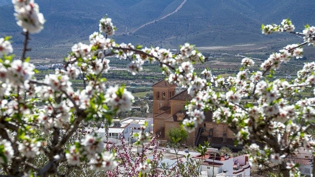 Laujar de Andarax es la capital de la Alpujarra Almeriense.