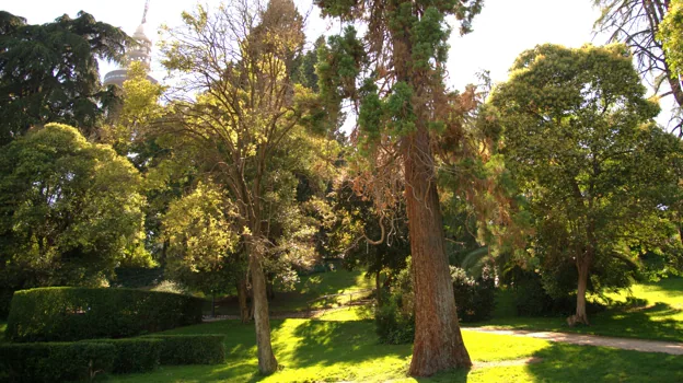 Imagen del Parque de la Fuente del Berro