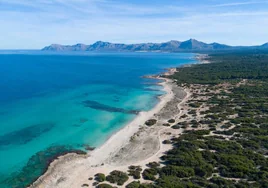 Mallorca participa en Fitur 2024 con una propuesta de turismo responsable y sostenible