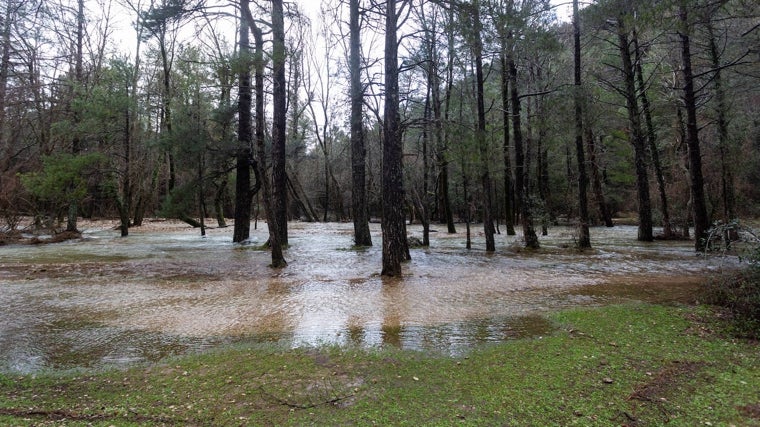 El agua inundaba el lunes 26 los alrededores de la cascada