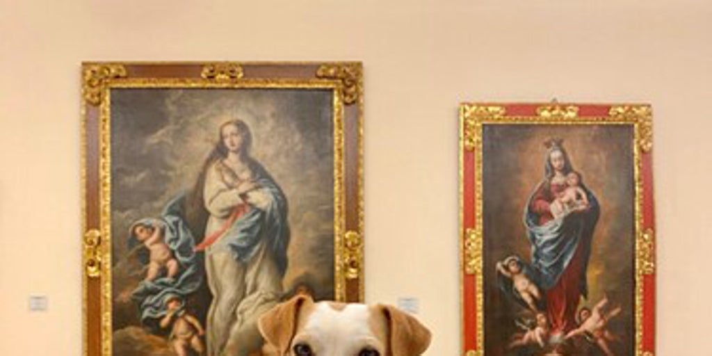 Dónde viajar con perros en Andalucía: ocho destinos para escaparte con tus mascotas