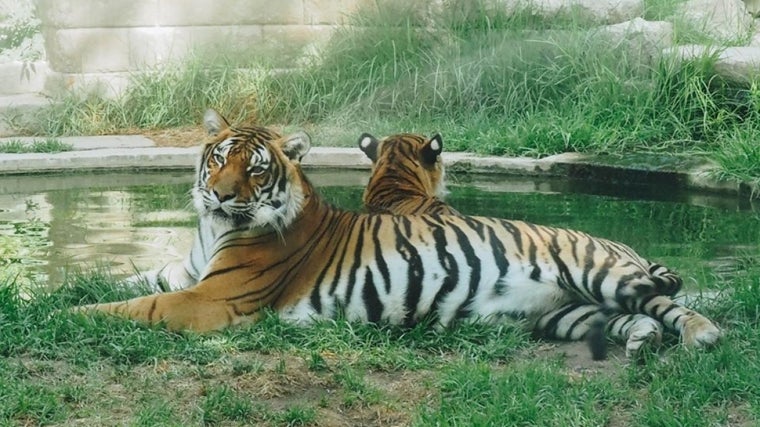 Centro de Conservación Zoo Córdoba