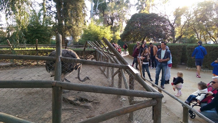 Zoológico Parque Prudencio Navarro de Ayamonte (Huelva)