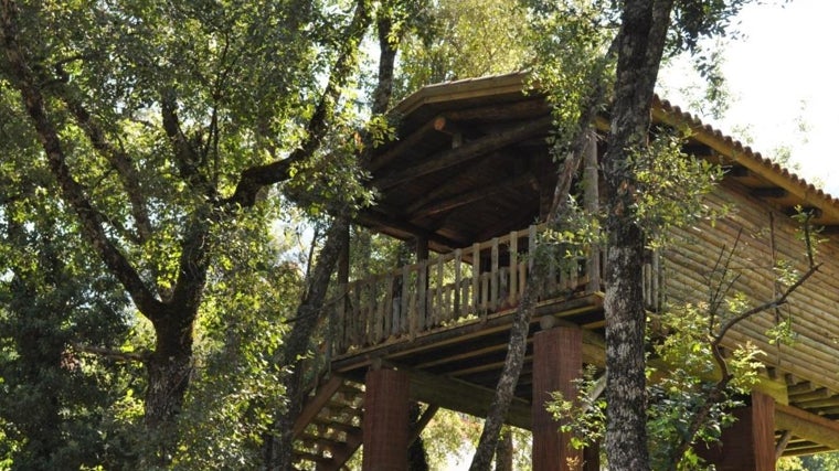 Una de las cabañas entre los árboles en Los Nidos de Santa María.