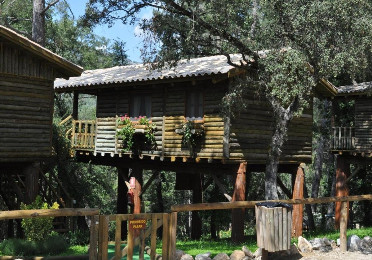 Casas del árbol en Los Nidos de Arroyo Frío en Cazorla.