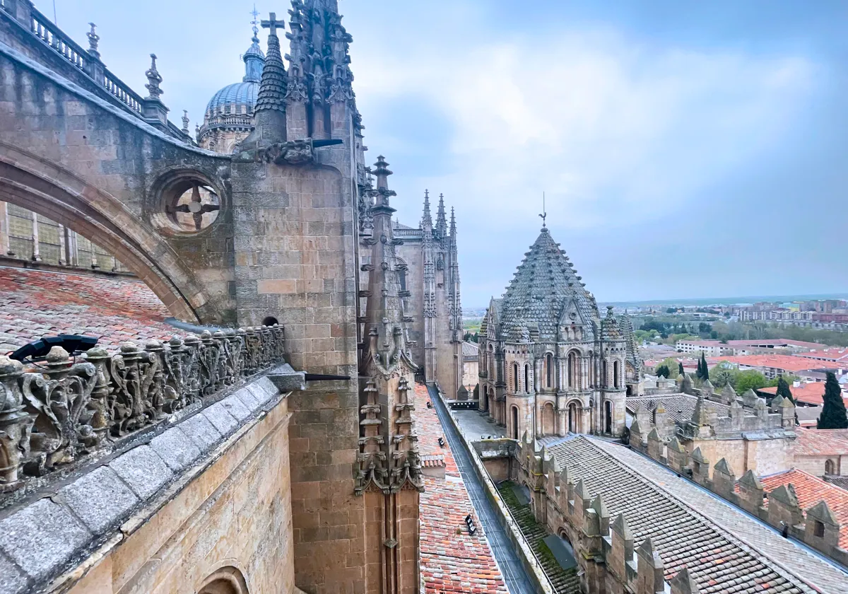 Visita de las torres de la Catedral de Salamanca