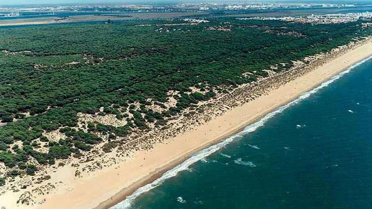 En la playa de La Bota, que se ubica cerca de Punta Umbría, destaca la riqueza medioambiental en forma de dunas y pinares