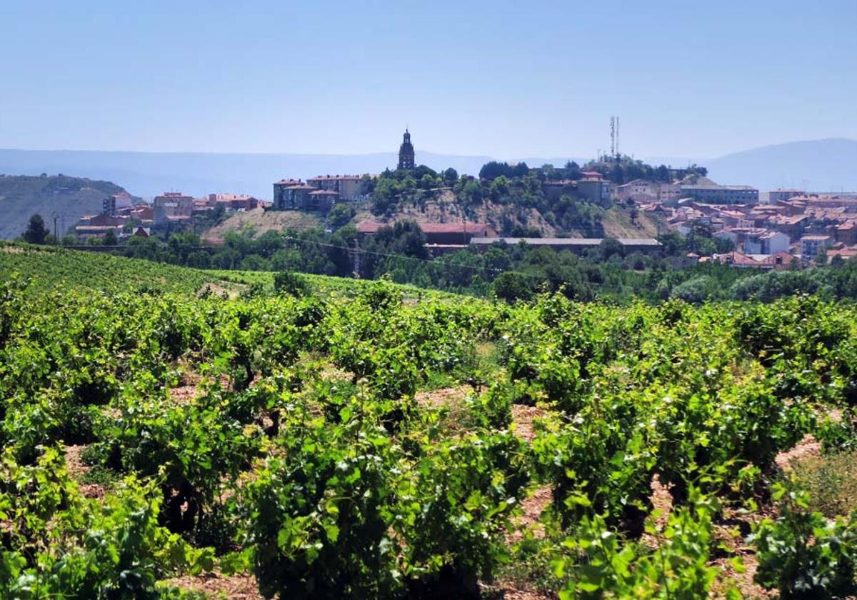 El pueblo de La Rioja rodeado de viñedos, bodegas de vino y palacios que puedes descubrir estas vacaciones