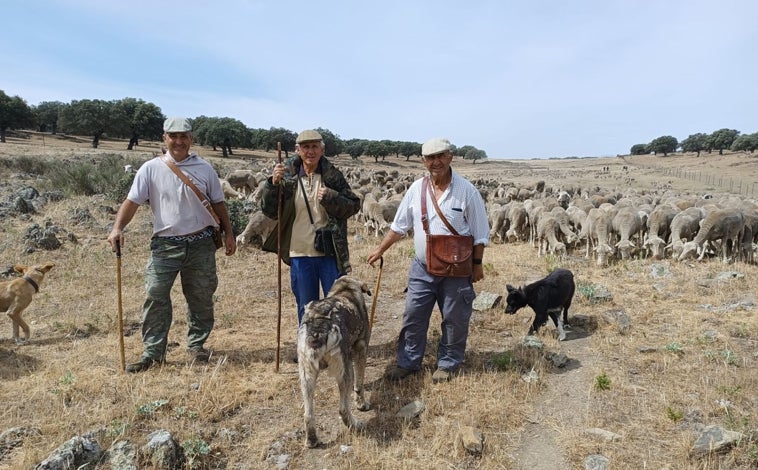 Imagen principal - En el viaje, de seiscientos kilómetros y unos cuarenta días, participan seis personas, cinco de ellas familiares. José Manuel se quedará todo el verano en la montaña leonesa con su rebaño. En octubre volverán a casa en otro viaje por la Cañada Leonesa Occidental  