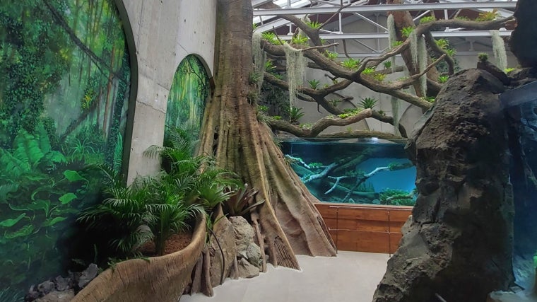 Sala de las Bromelias