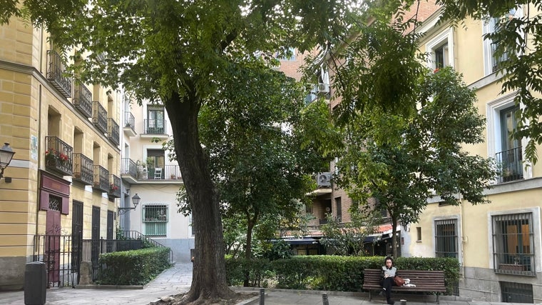 Imagen de la plaza del Alamillo