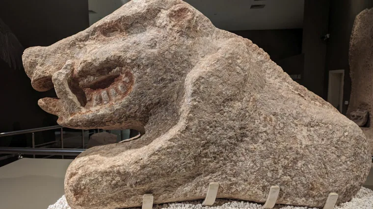 Una estatua de jabalí hallada en Göbekli Tepe de tamaño natural con restos de policromía, la primera de este tipo que se conoce, en el Museo Arqueológico de Sanliurfa