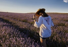 Un pequeño pueblo de Valladolid donde los campos de lavanda son un espectáculo