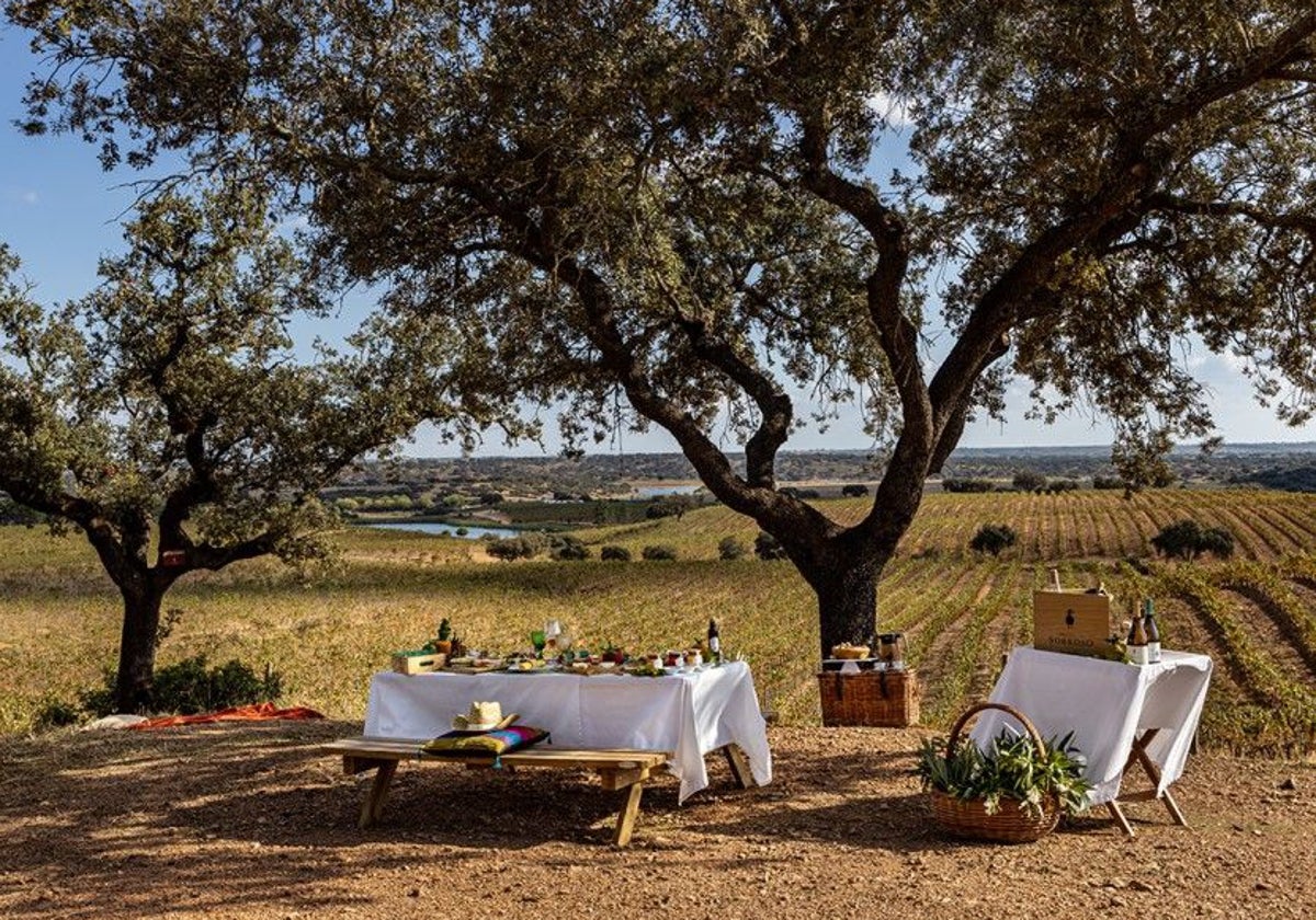 Herdade Do Sobroso es uno de los rincones más especiales del Alentejo portugués