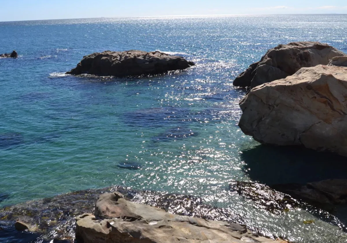 Esta bonita playa mantiene un ecosistema muy rico que la convierte en un lugar único en toda la provincia de Málaga