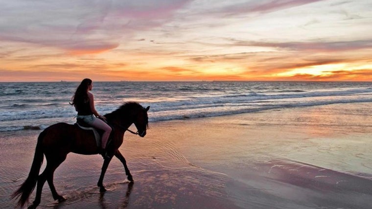 Ruta a caballo por Mazagón