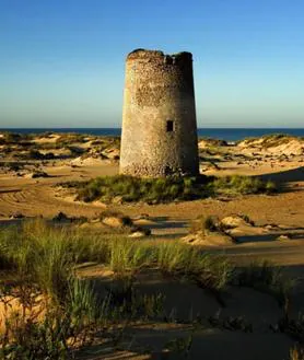 Imagen secundaria 2 - Arriba, los restos de la torre del Río de Oro; abajo a la izquierda, la torre Umbría, en Punta Umbría, y a la derecha la torre Carbonero, en Matalascañas