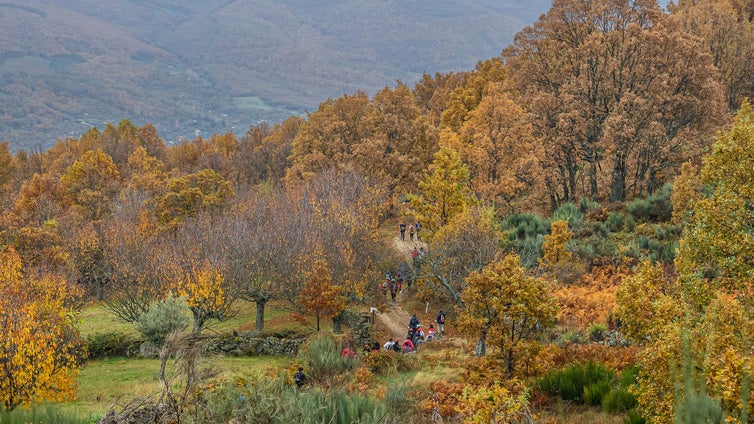 Un precioso valle extremeño tiene una nueva fiesta de Interés Turístico Internacional