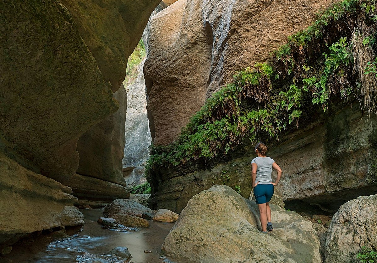 Uno de los tramos del recorrido