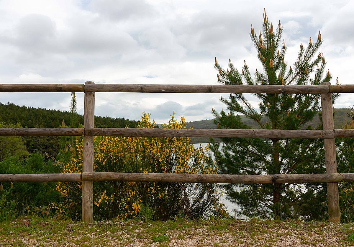 Sierra de la Demanda y Pinares: el paraíso de los amantes del senderismo y del cicloturismo
