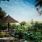 No es Japón: el jardín botánico asiático más espectacular está en Andalucía y solo cuesta 3 euros