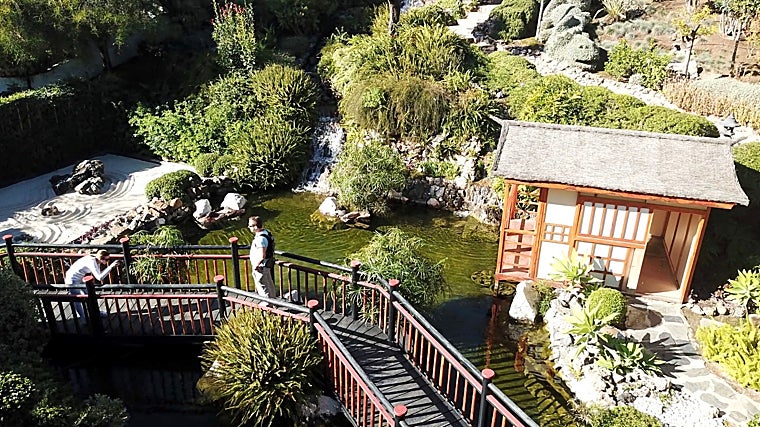 El parque acoge más de un millas de especies vegetales