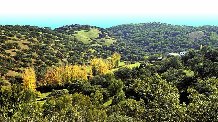Sierra de Aracena y Picos de Aroche