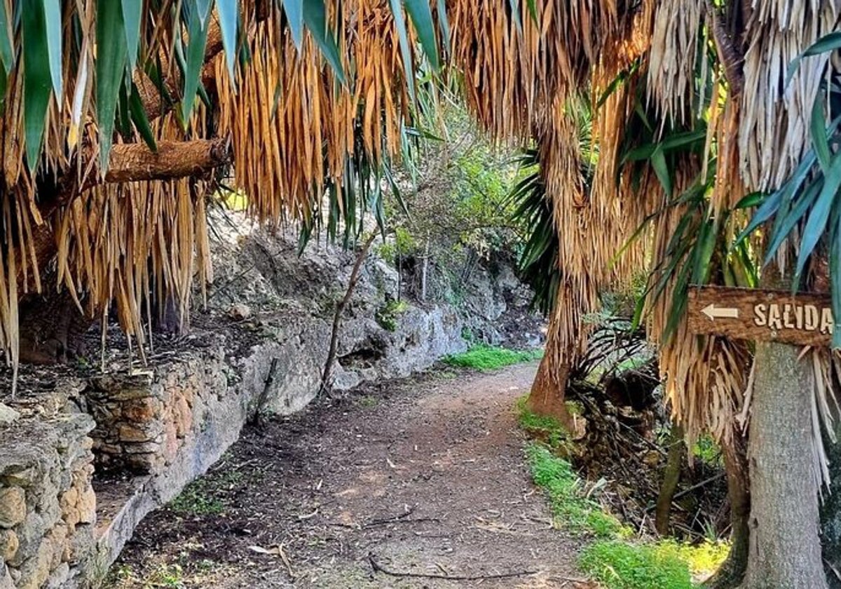 Bosque encantado de la localidad cordobesa de Hornachuelos (Córdoba)