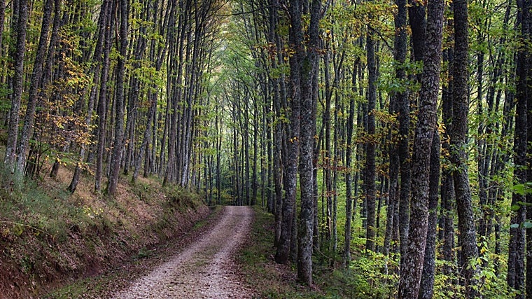 Monte Hijedo, Burgos y Cantabria