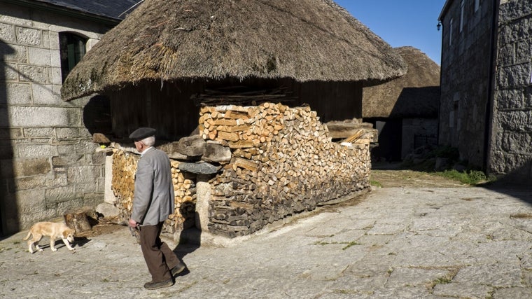 Hórreo con teito y madera apilada en Piornedo de Ancares