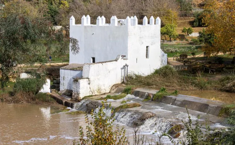 Imagen principal - Tres de los molinos que se pueden contemplar en Alcalá de Guadaíra