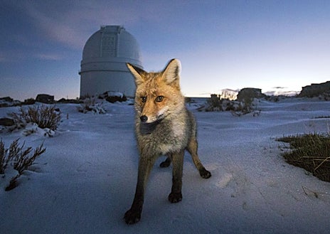 Imagen secundaria 1 - En la foto superior, el arrecife de las Arenas, en Cabo de Gata. Junto a estas líneas, el Observatorio de Calar Alto y la sala del MUREC que acoge la obra 'la consagración de la copla' de Julio Romero de Torres
