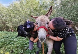 La granja a solo 30 minutos de Sevilla donde puedes conocer burros y pasar un día con ellos