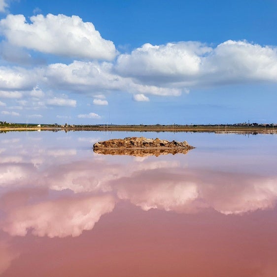 La Laguna Rosa pertenece al Parque Natural de las Lagunas de la Mata y Torrevieja