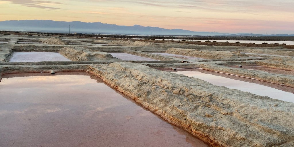 Las salinas rosas más sorprendentes de España: están en Andalucía y repleta de flamencos