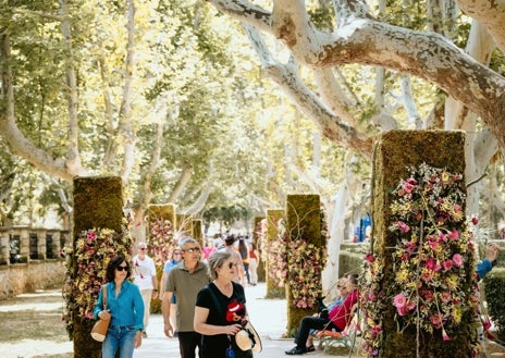 Imagen secundaria 1 - Zaragoza Florece 2025: arte floral y sostenibilidad en el corazón de la ciudad
