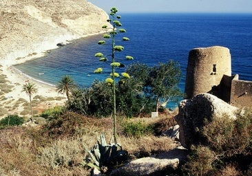 La cala paradisíaca a media hora de Almería: es virgen y solo se puede acceder andando