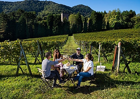Imagen secundaria 1 - Entrada del Hotel Ilunion San Mamés de Bilbao (arriba); Viñedo de Bilbao, pues la ciudad es reconocida  también por su vino característico: el Txakoli (abajo izquierda); y Nerea Goikoetxea, responsable financiera de ILUNION Bilbao e ILUNION Romareda