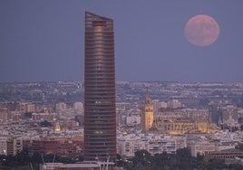 Los mejores planes que puedes hacer en Sevilla, según los británicos