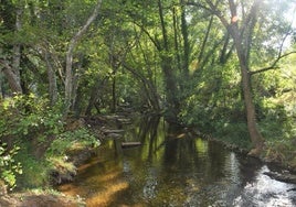 La isla oculta en la Sierra de Sevilla a la que se llega cruzando un puente de madera